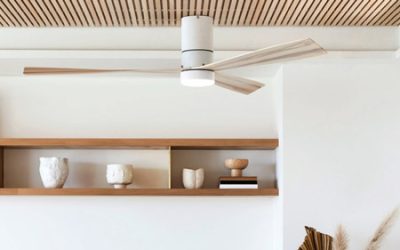 How to choose the modern ceiling fan